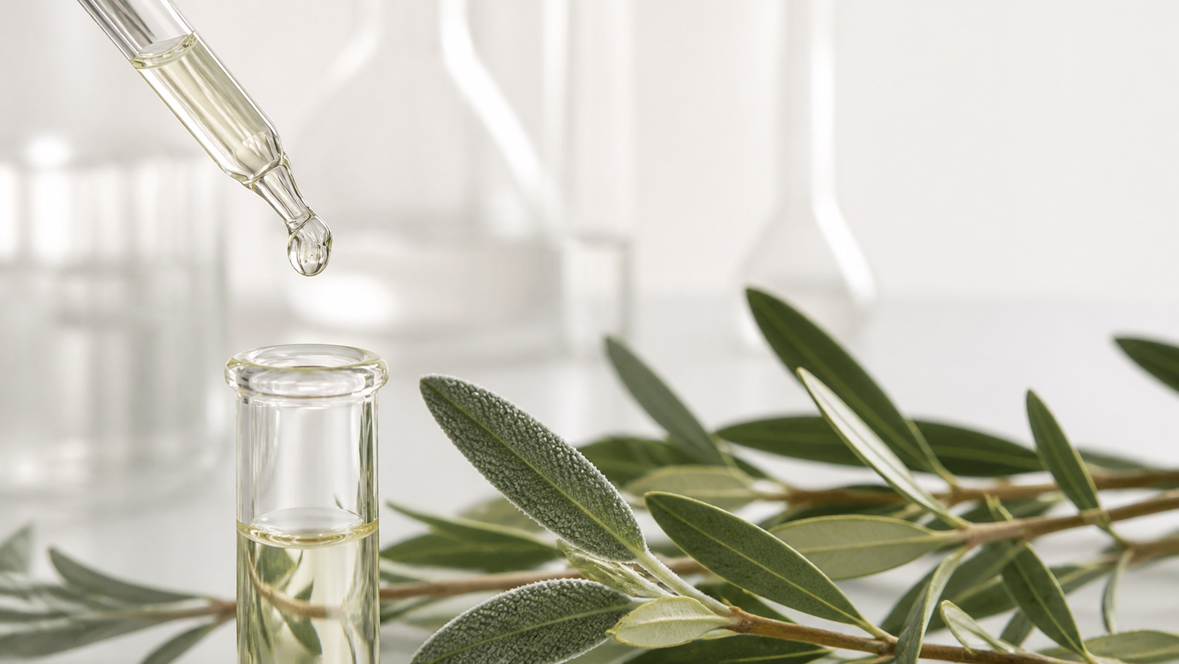 Pipetta da laboratorio, fiala e rami di ulivo in una composizione scientifica e botanica.